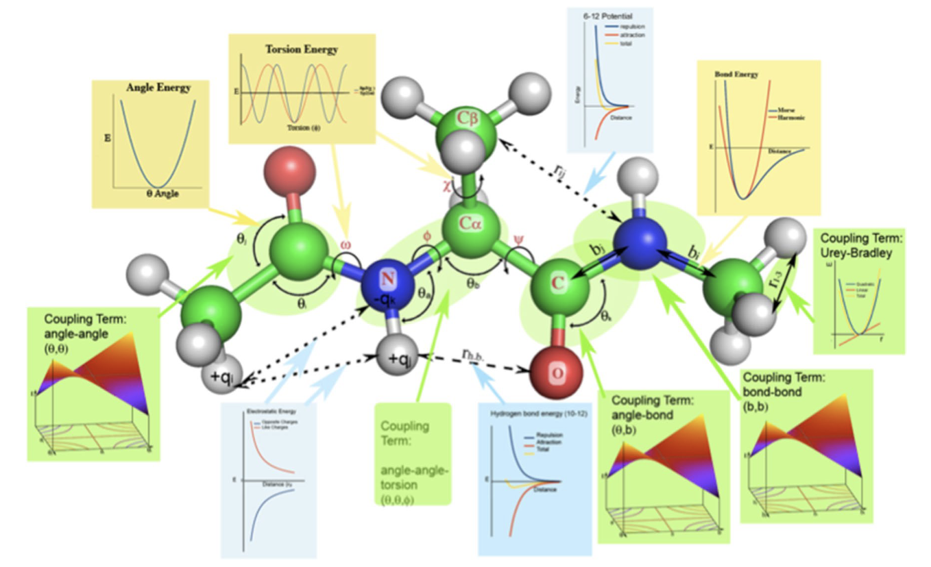 Molecular geometry